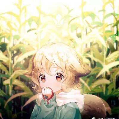 残障女孩因轮椅电池没法拆不让托运